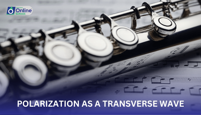 Lesson 13: Polarization as a Transverse Wave Phenomenon